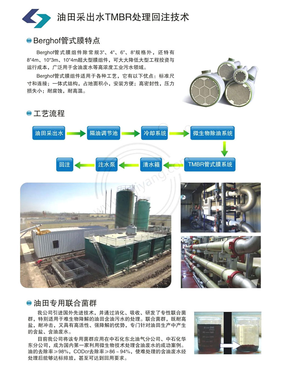 石油炼化水处理技术